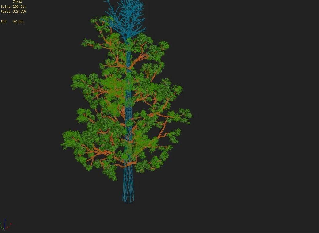 Shanglin Yuan - plant - broadleaf tree 01 3D model_2