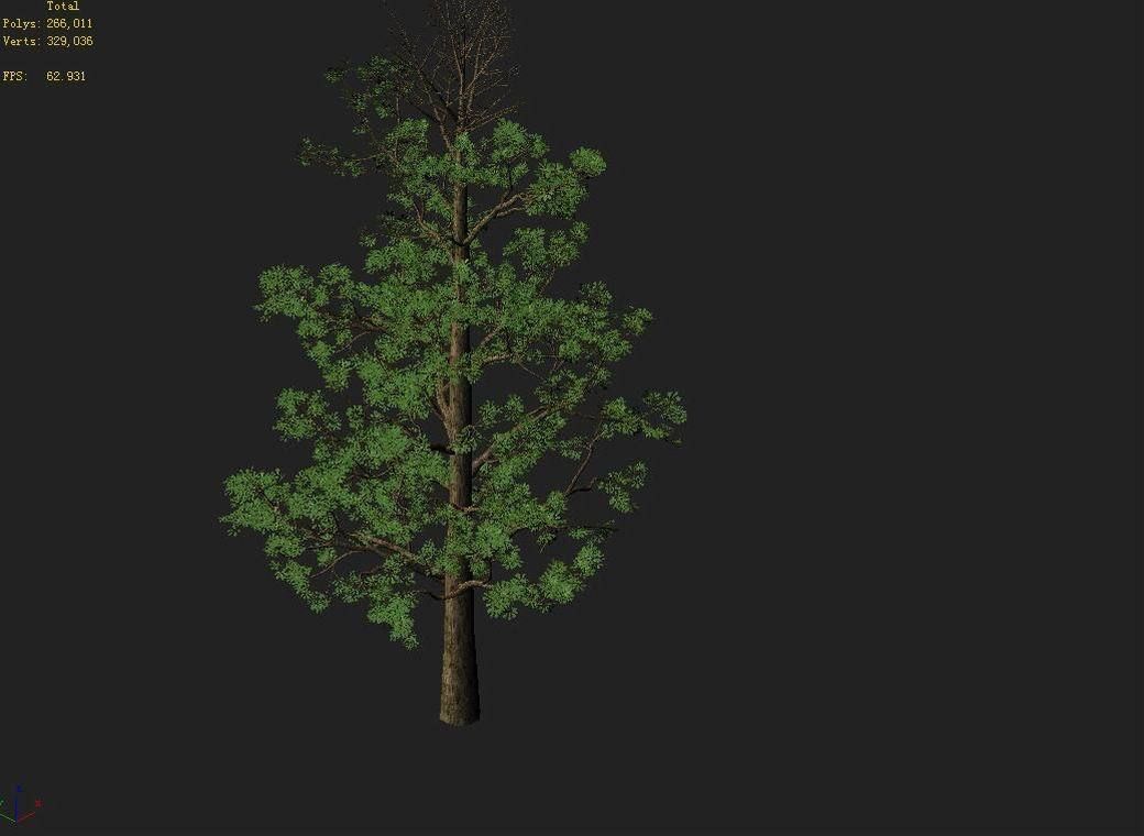 Shanglin Yuan - plant - broadleaf tree 01 3D model_3