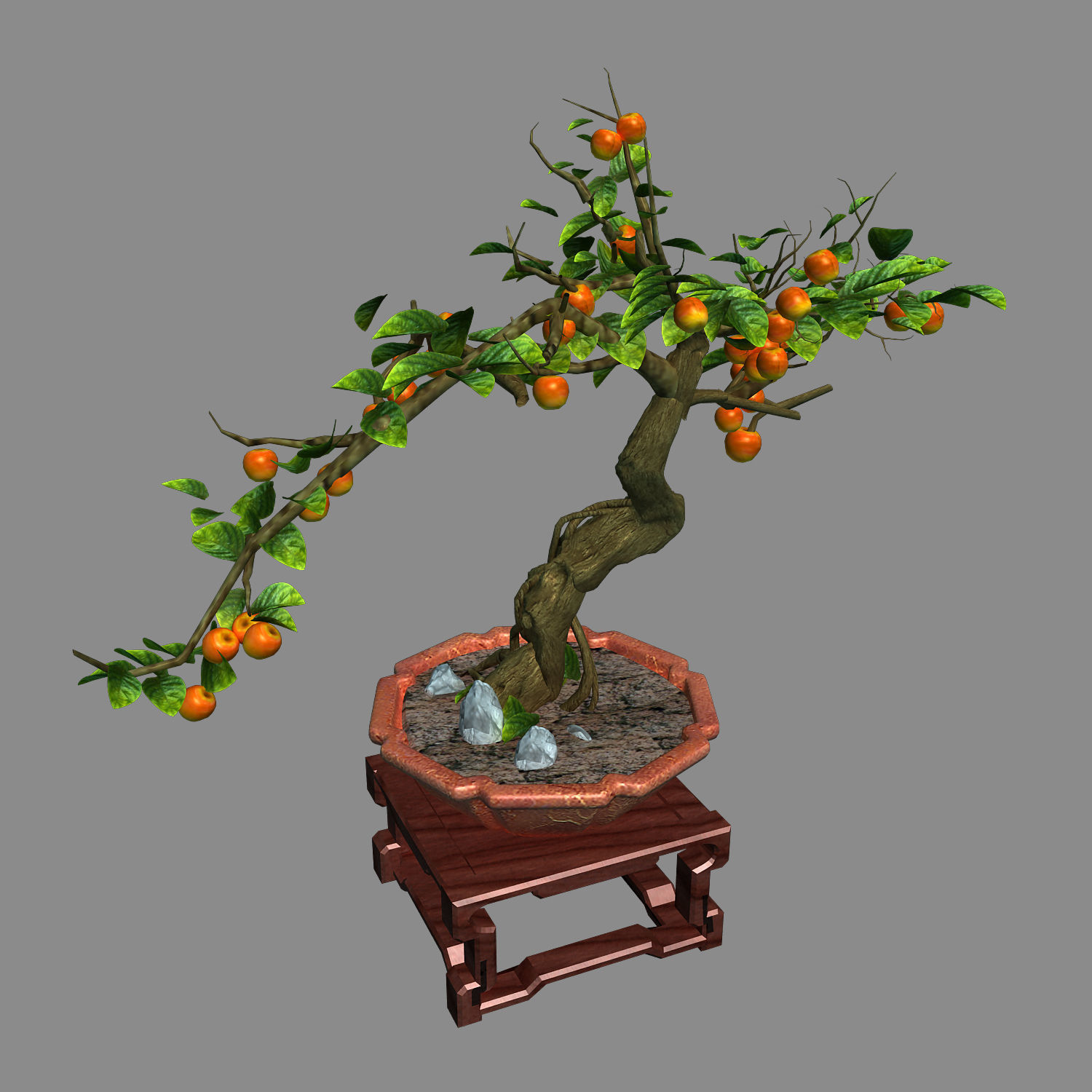 Indoor - potted plants - plants 01 3D model_4
