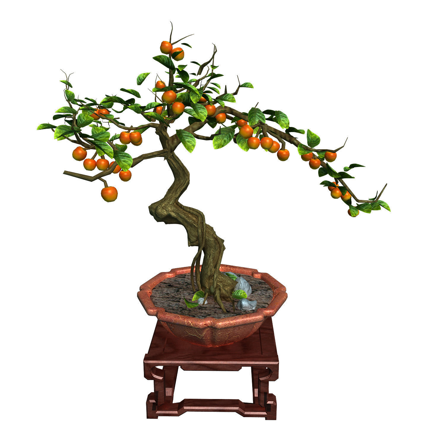 Indoor - potted plants - plants 01 3D model_1