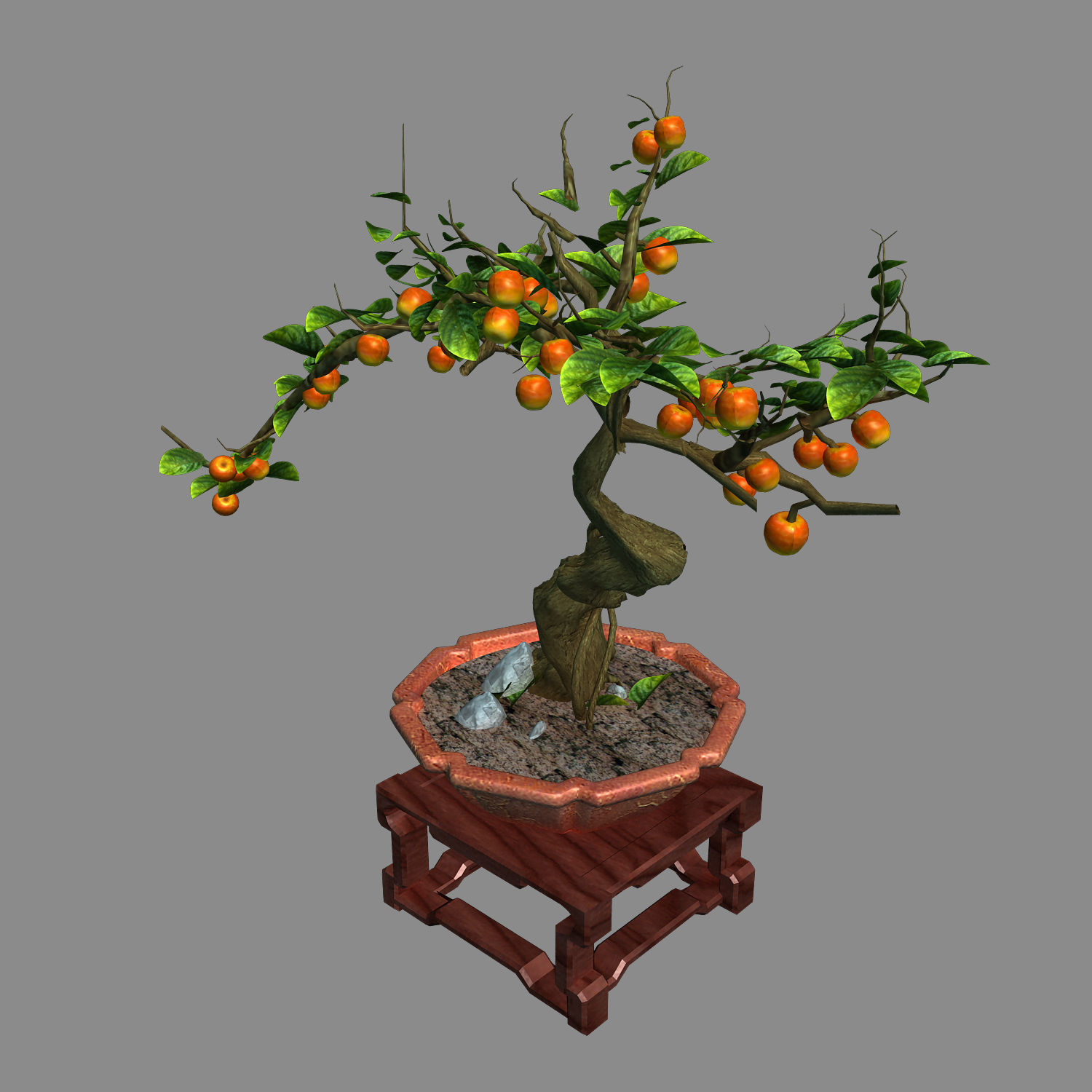 Indoor - potted plants - plants 01 3D model_2