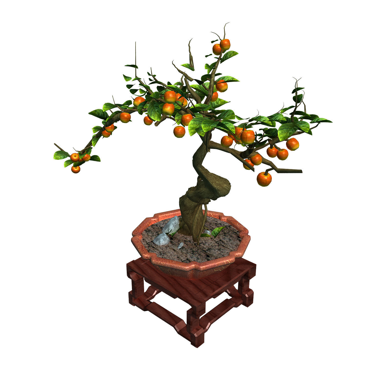 Indoor - potted plants - plants 01 3D model_3