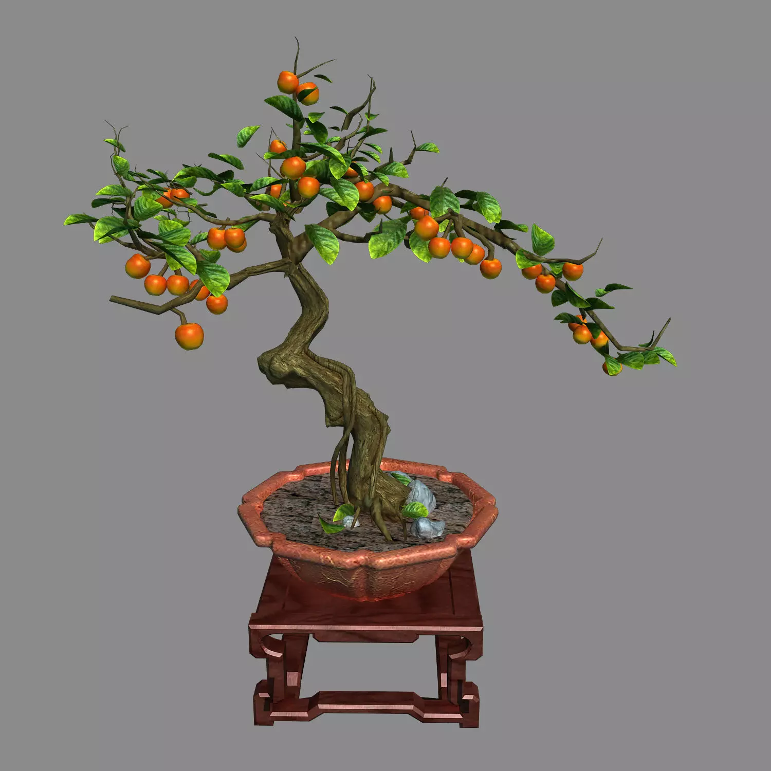 Indoor - potted plants - plants 01 3D model_0