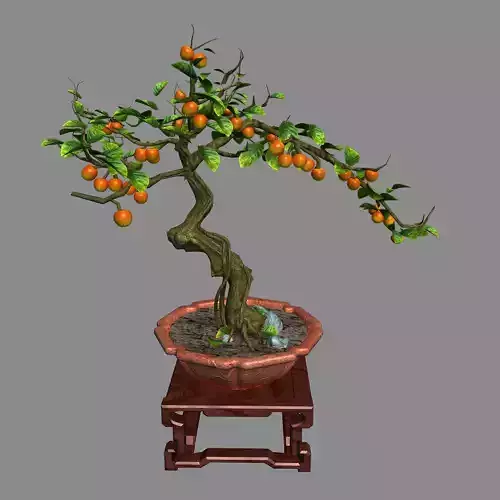 Indoor - potted plants - plants 01