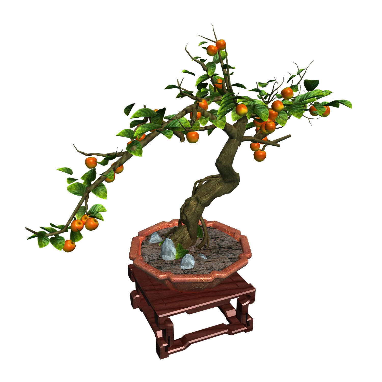 Indoor - potted plants - plants 01 3D model_5