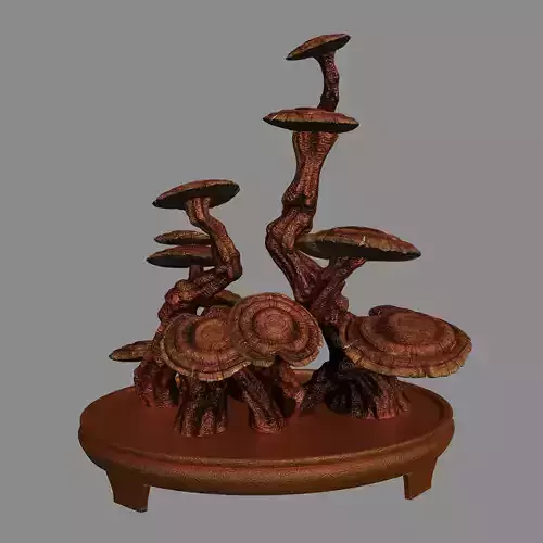 Indoor - potted plants - plants 02