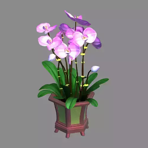 Indoor - Potted - Plants 04