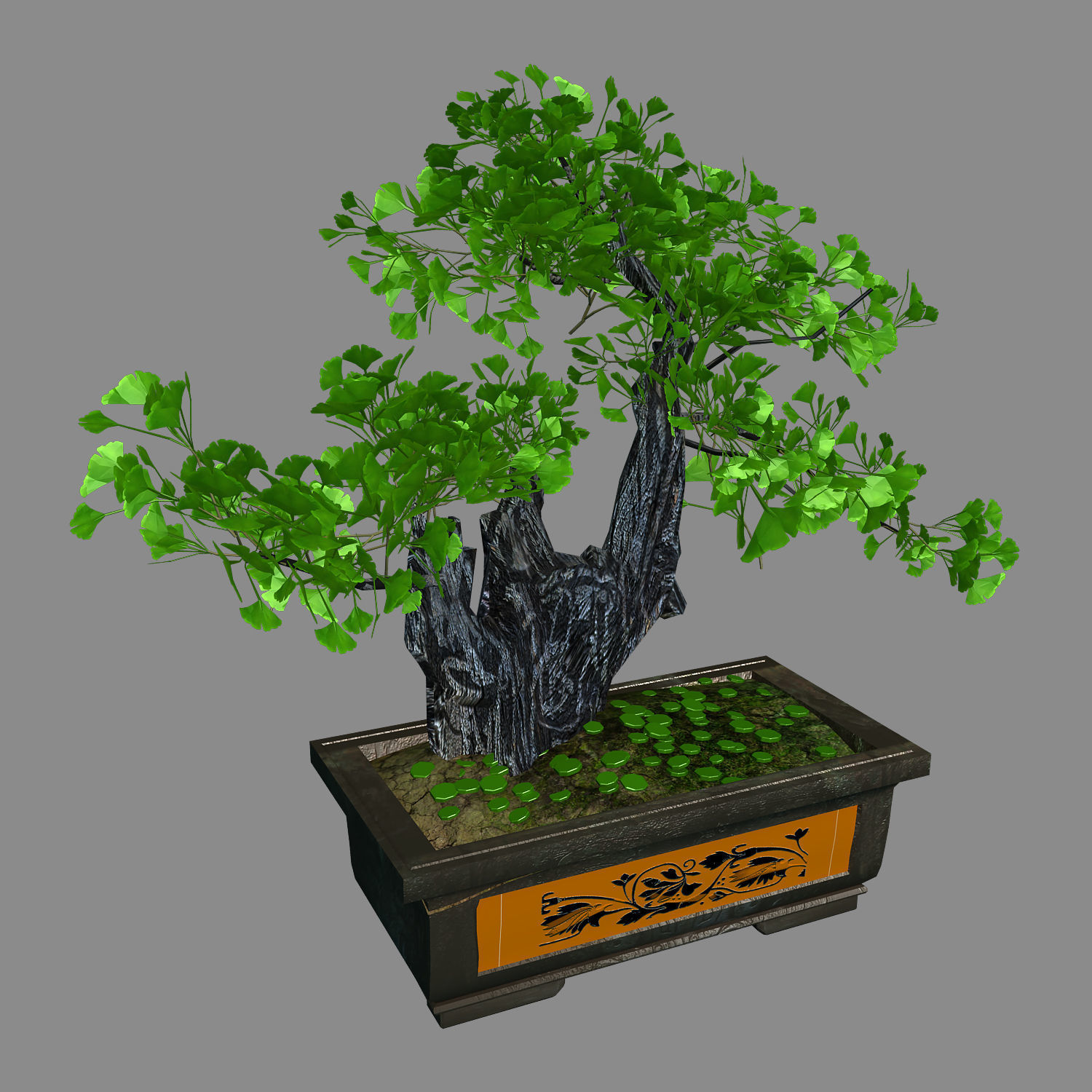 Indoor - potted plants - plants 08 3D model_2