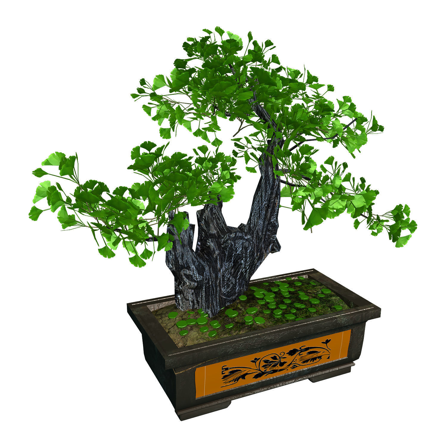 Indoor - potted plants - plants 08 3D model_1