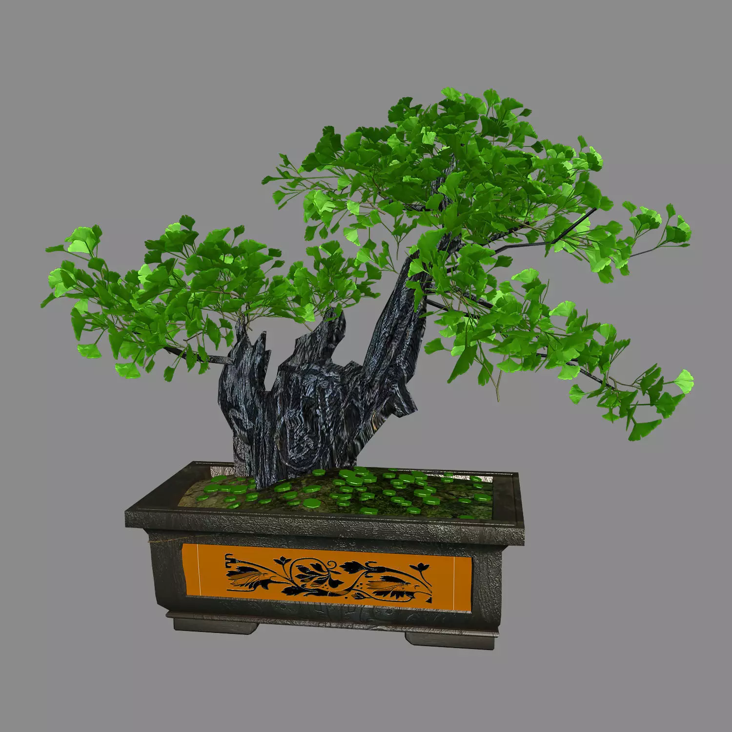 Indoor - potted plants - plants 08 3D model_0