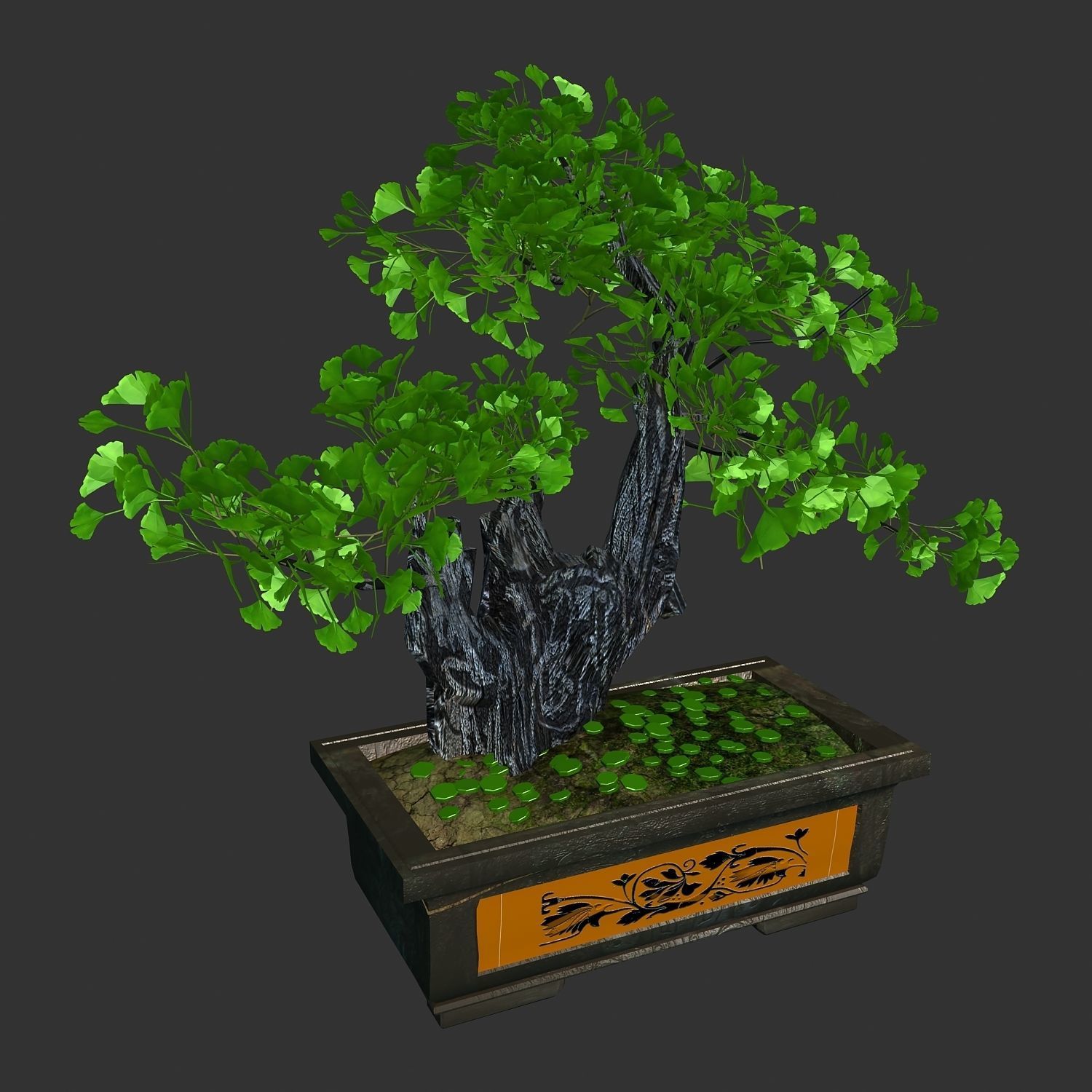 Indoor - potted plants - plants 08 3D model_3