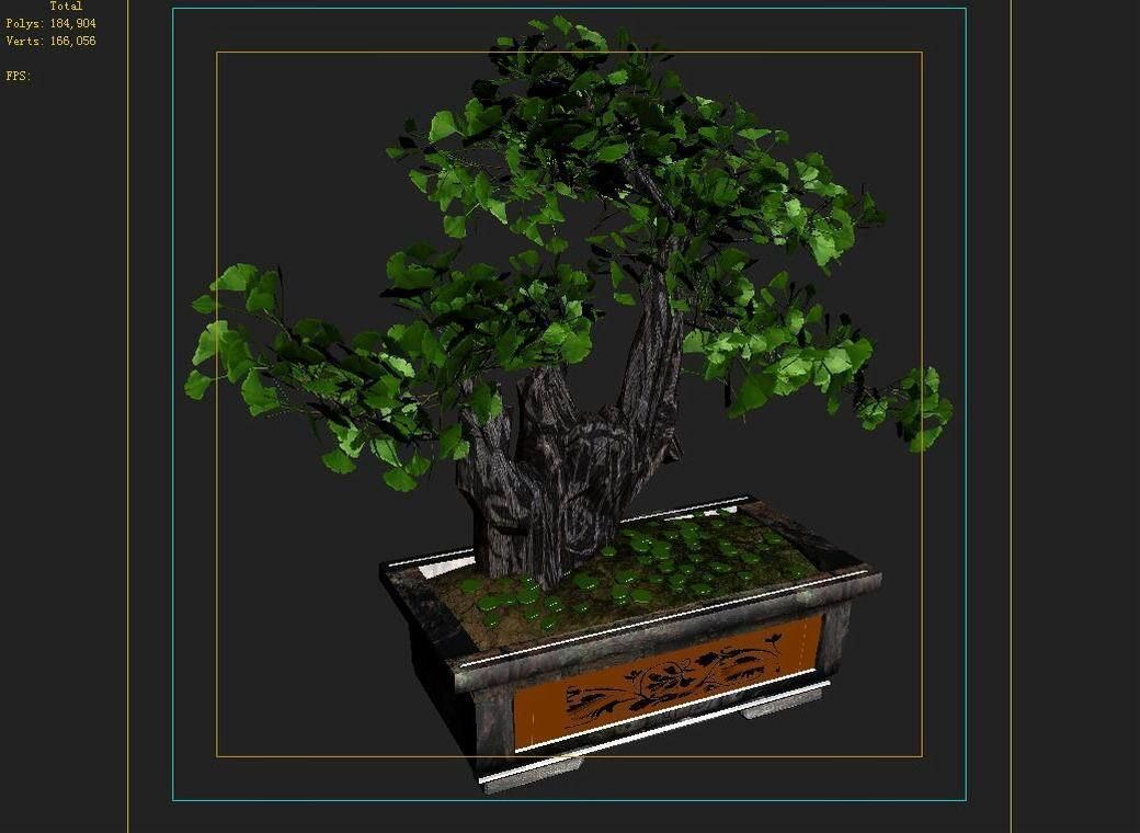 Indoor - potted plants - plants 08 3D model_6