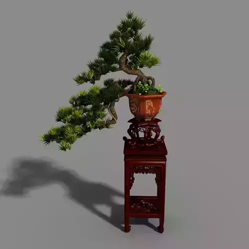 Indoor - potted plants - plants 09