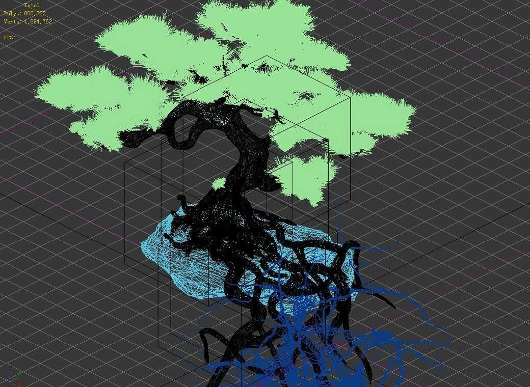 Woods - Plants - Pine 23 3D model_5