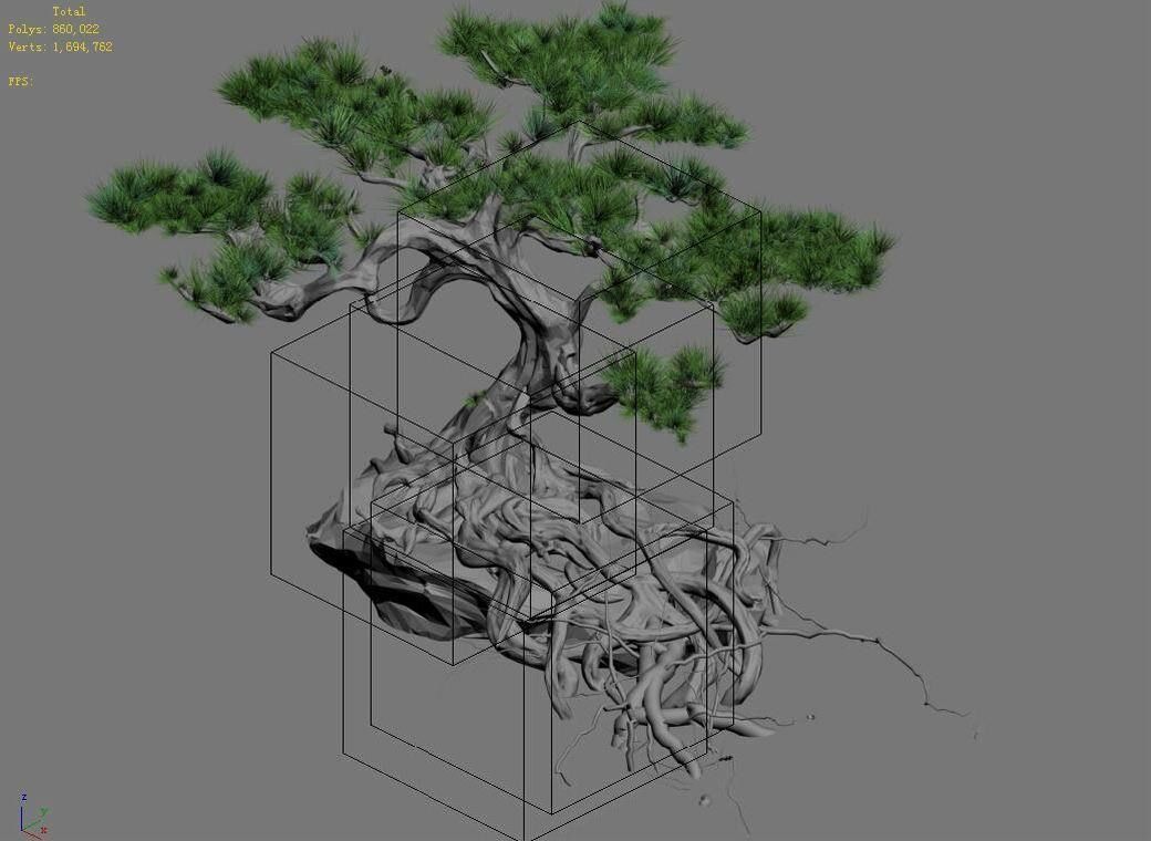 Woods - Plants - Pine 23 3D model_6