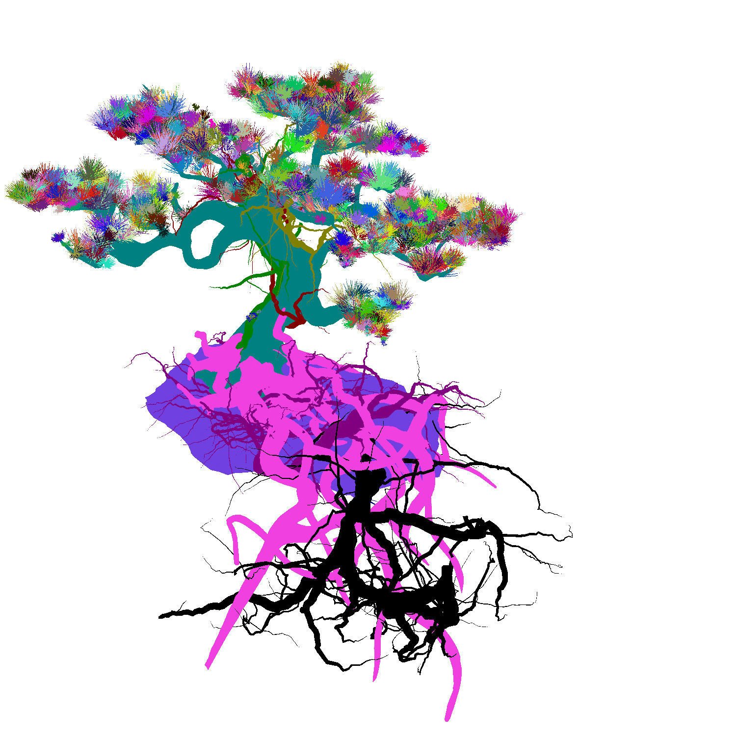 Woods - Plants - Pine 23 3D model_2