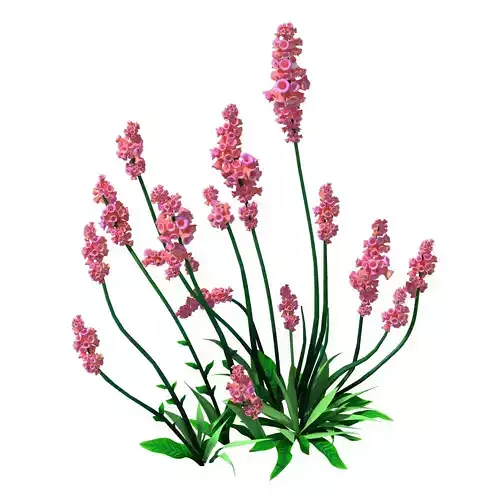 Crystal Marsh - Shrubs 01