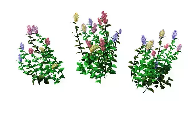 Crystal Marsh - Shrubs 02