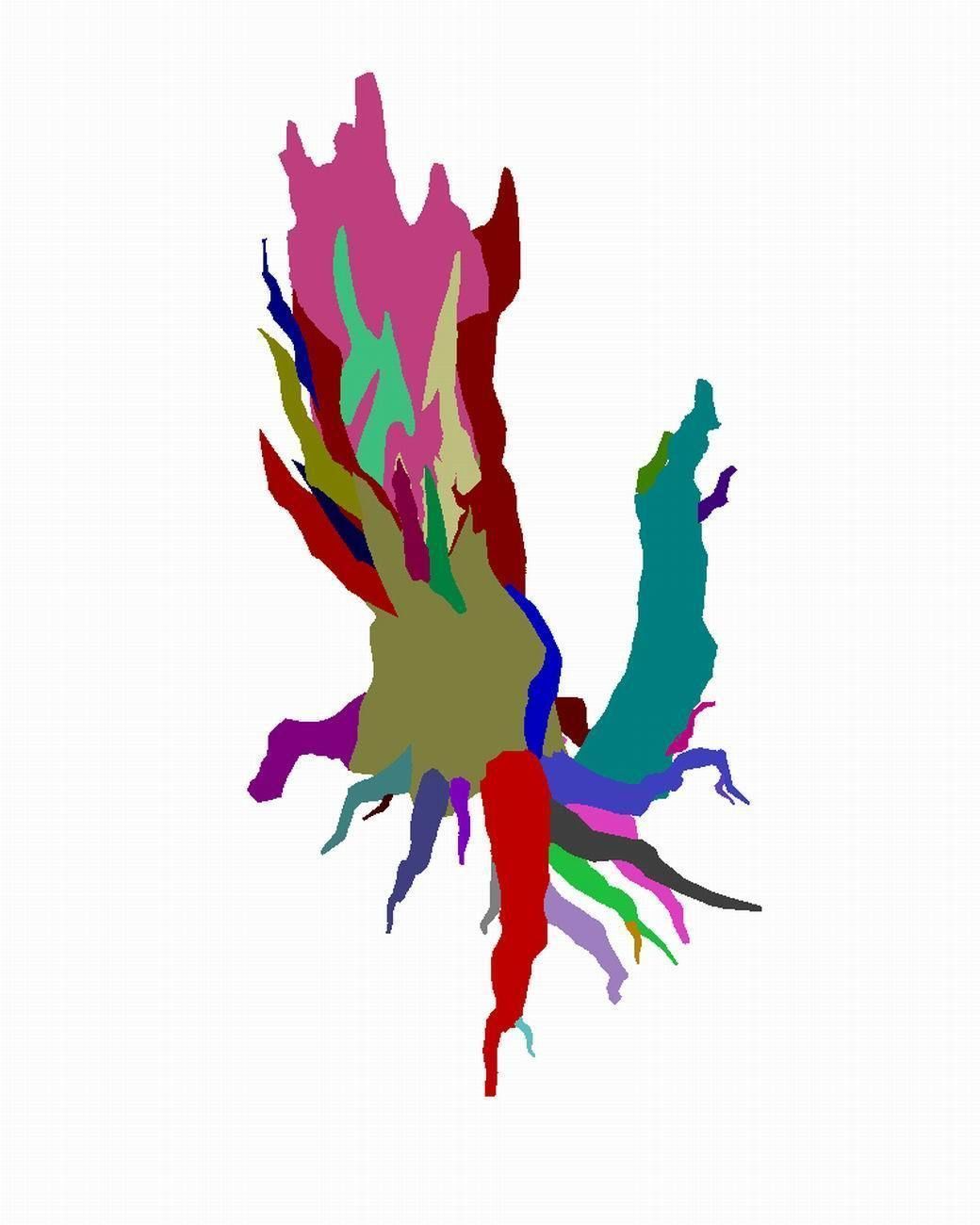 Crystal Marsh - dead tree 03 3D model_3