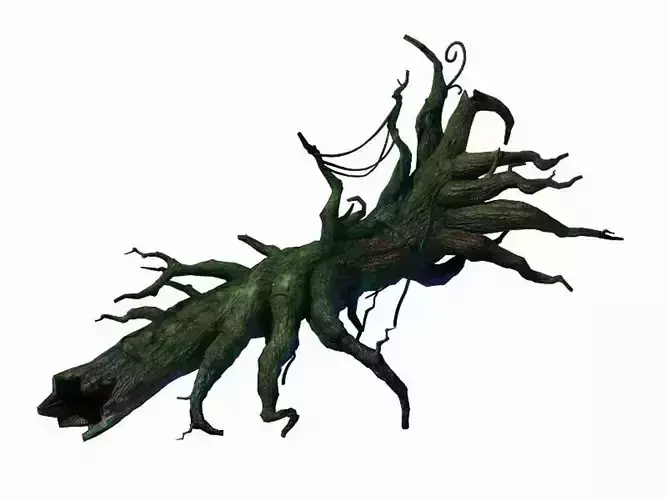 Crystal Marsh - Moss covered tree trunk