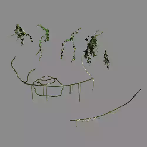 Death swamp - vines 113