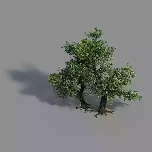 Material - tree 02