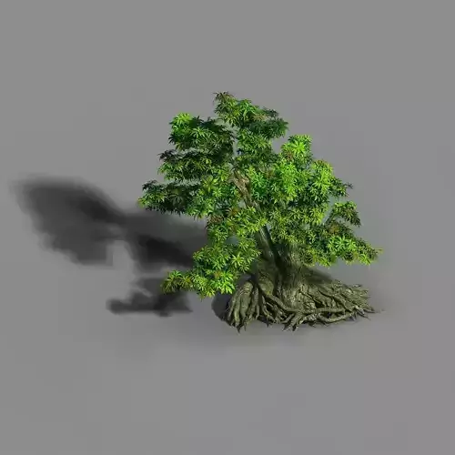 Material - tree 03 3D model