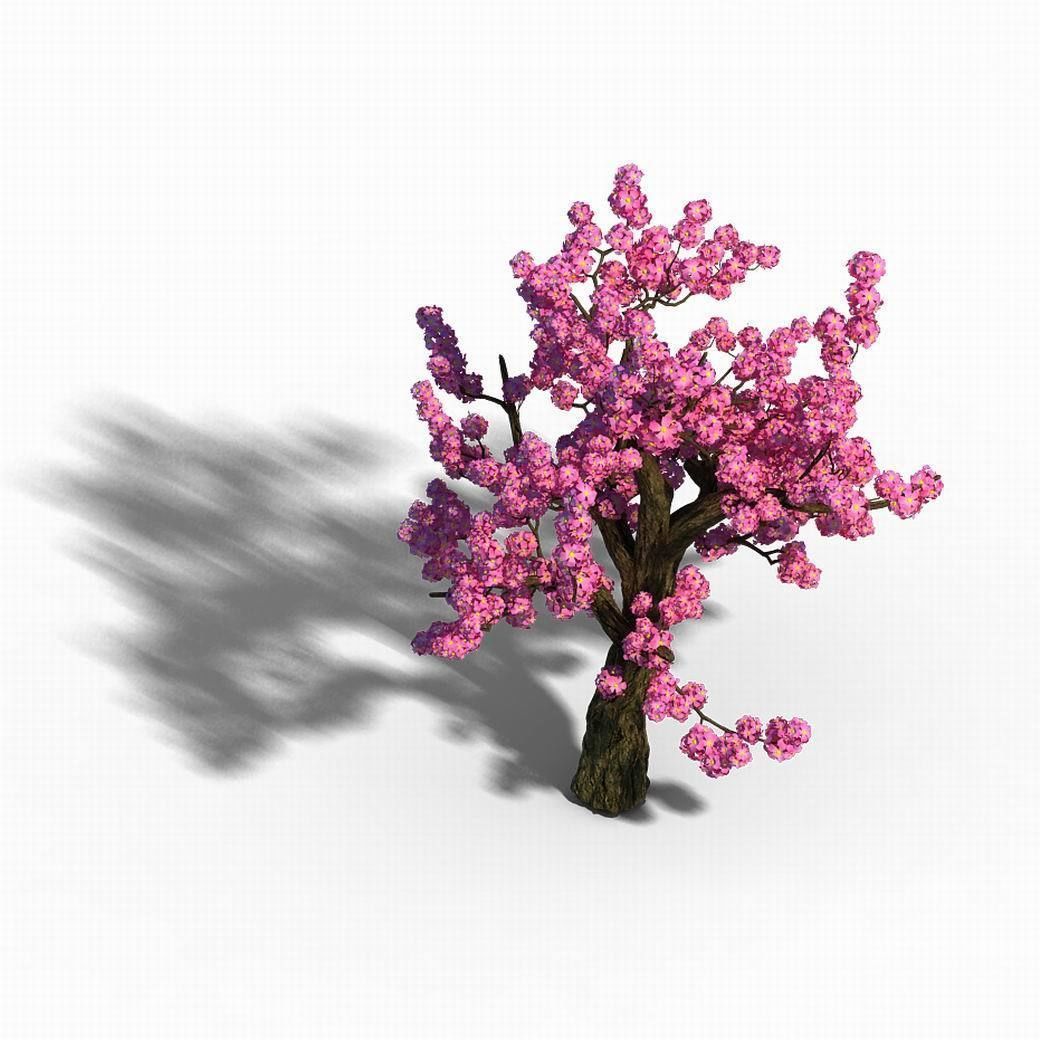 Material - Tree 04 3D model_1