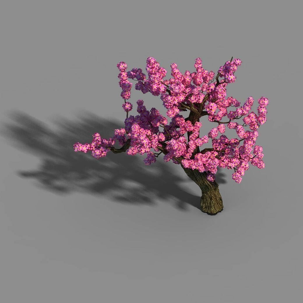 Material - Tree 04 3D model_2