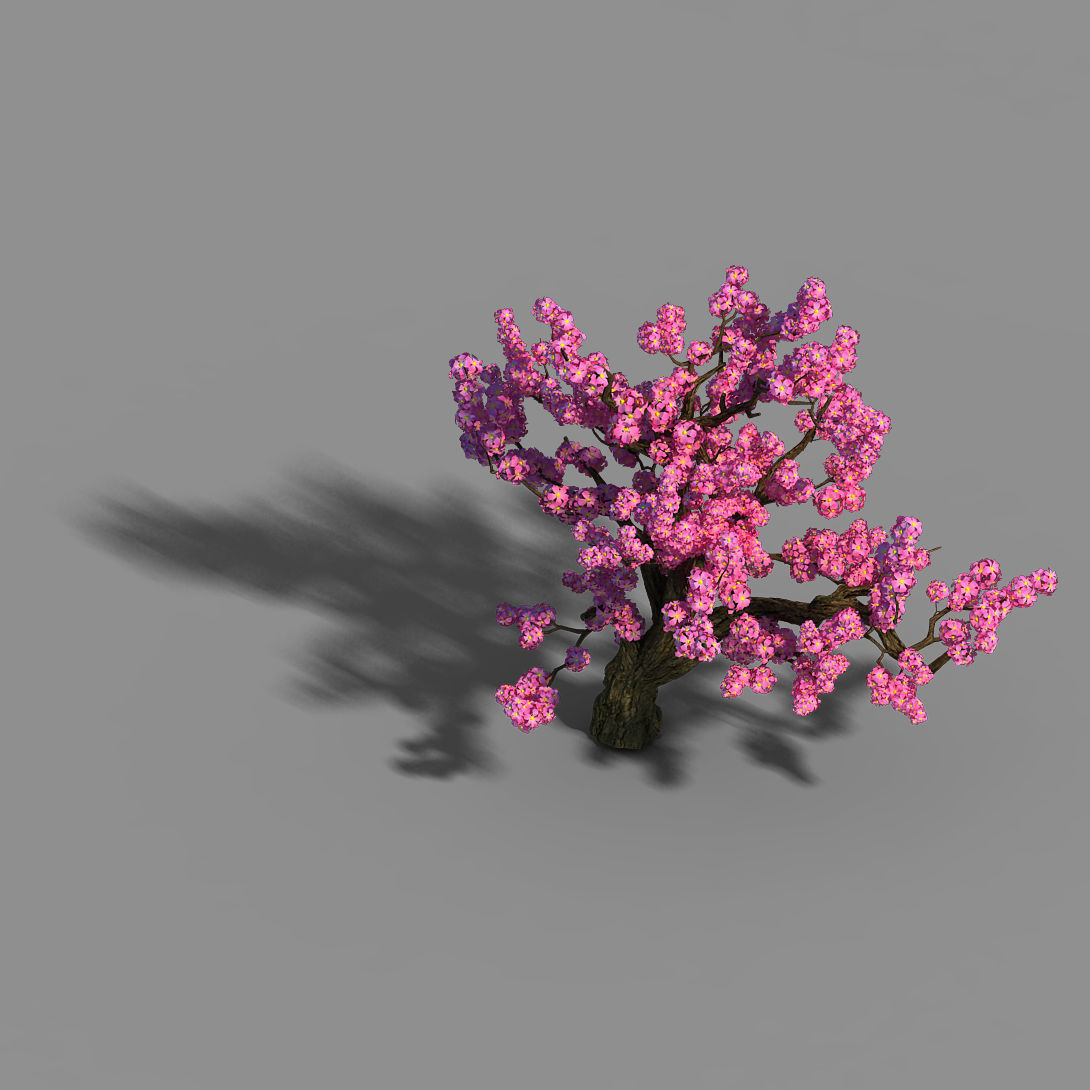 Material - Tree 04 3D model_4