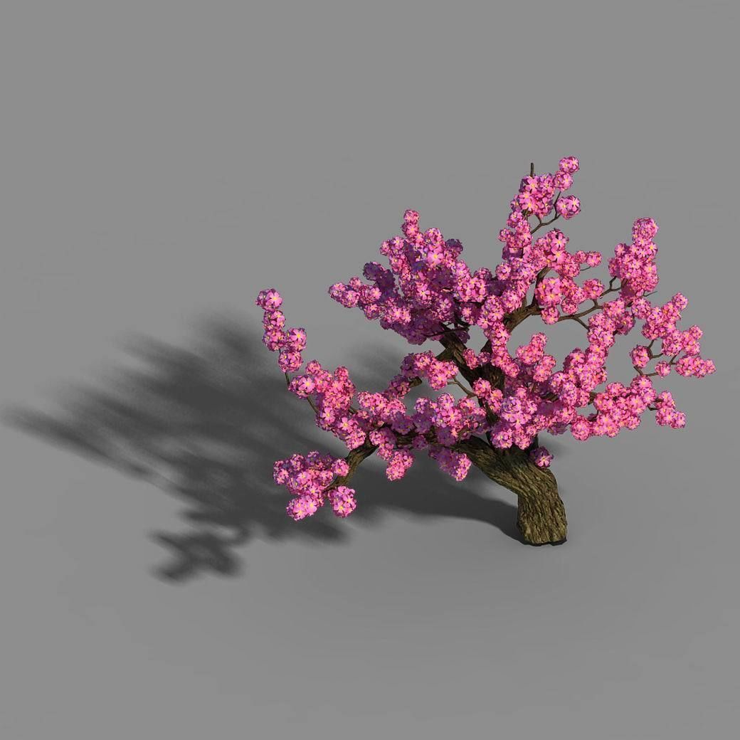 Material - Tree 04 3D model_3