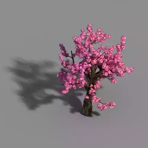 Material - Tree 04 3D model