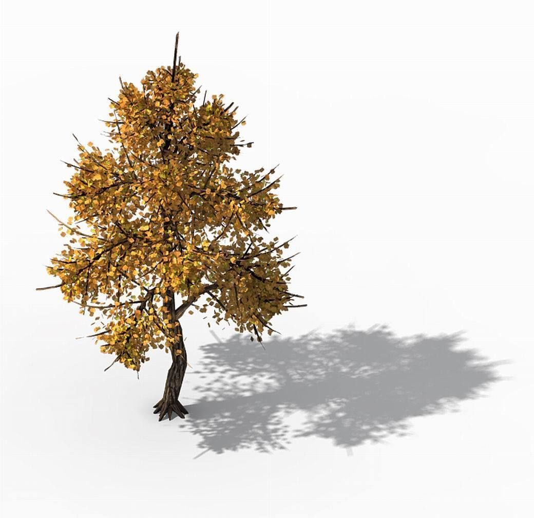 Explore the mountains - Hongye Tree 09 3D model_1