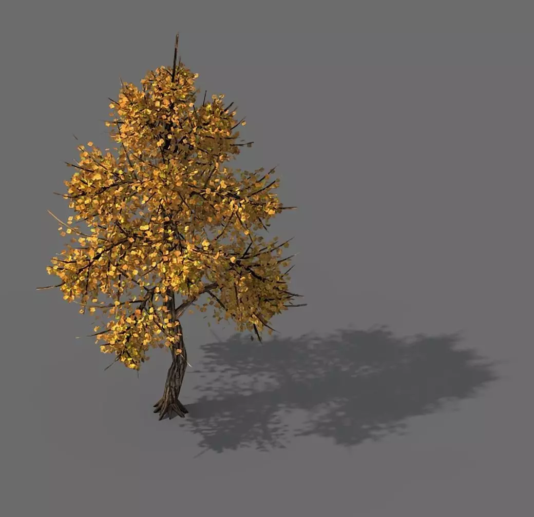 Explore the mountains - Hongye Tree 09 3D model_0