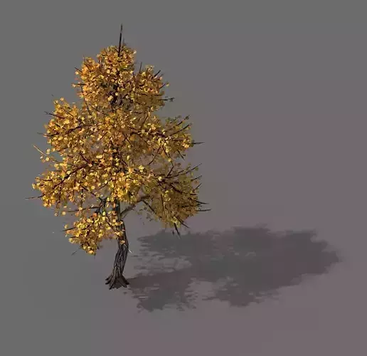 Explore the mountains - Hongye Tree 09