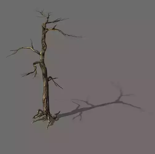 Explore the mountains - dead wood 01