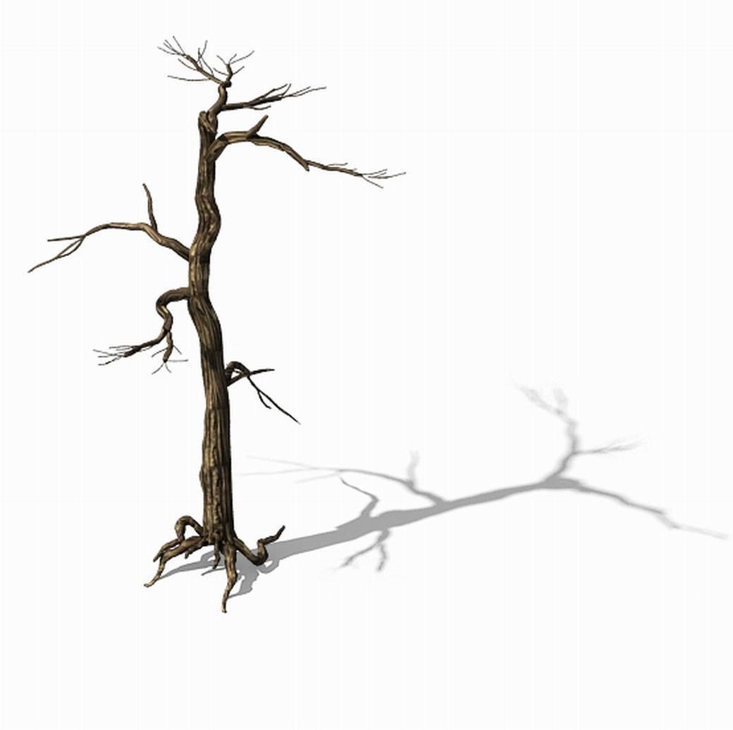 Explore the mountains - dead wood 01 3D model_1