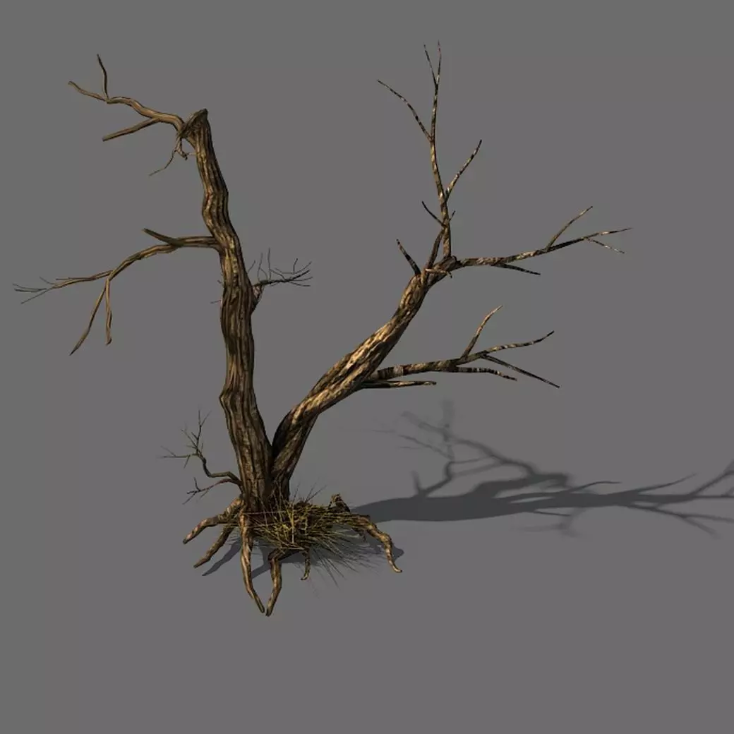 Explore the mountains - dead wood 03 3D model_0
