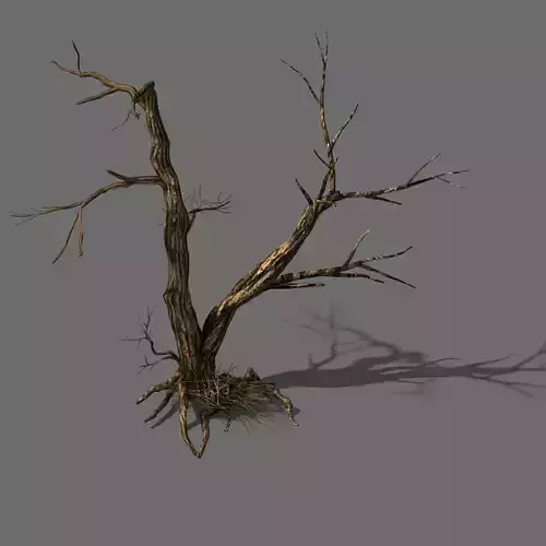 Explore the mountains - dead wood 03