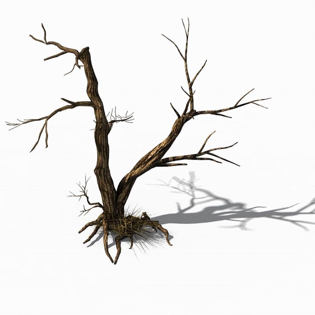 Explore the mountains - dead wood 03 3D model_1