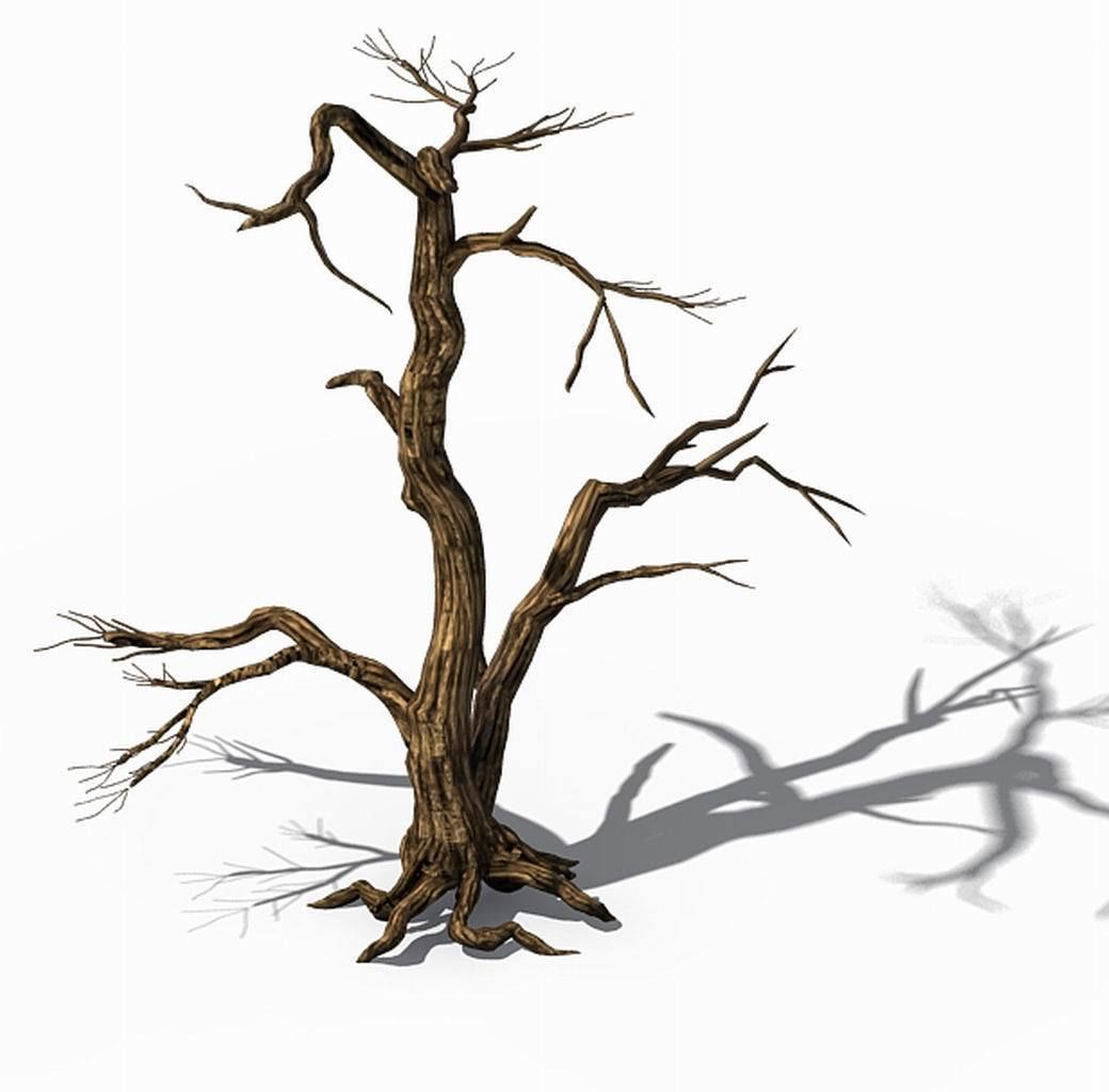 Explore the mountains - dead wood 04 3D model_1