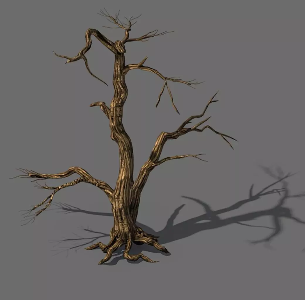 Explore the mountains - dead wood 04 3D model_0