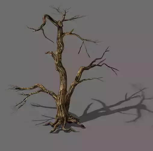 Explore the mountains - dead wood 04