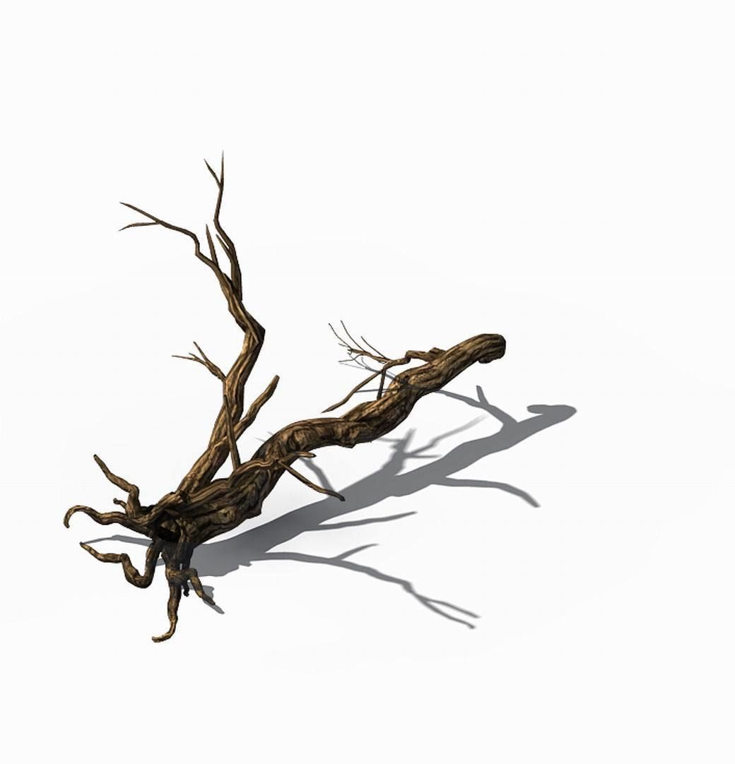 Explore the mountains - dead wood 05 3D model_1