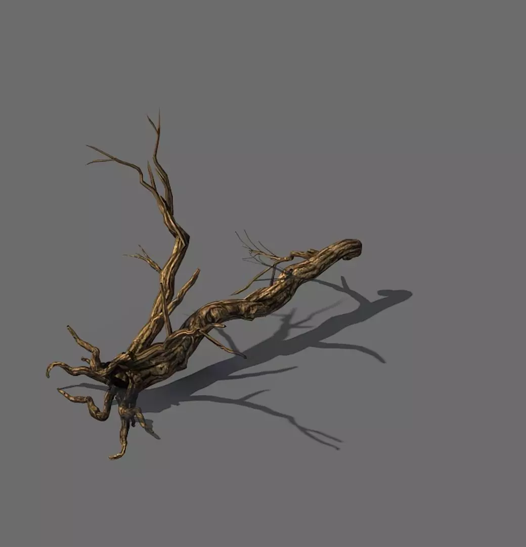 Explore the mountains - dead wood 05 3D model_0