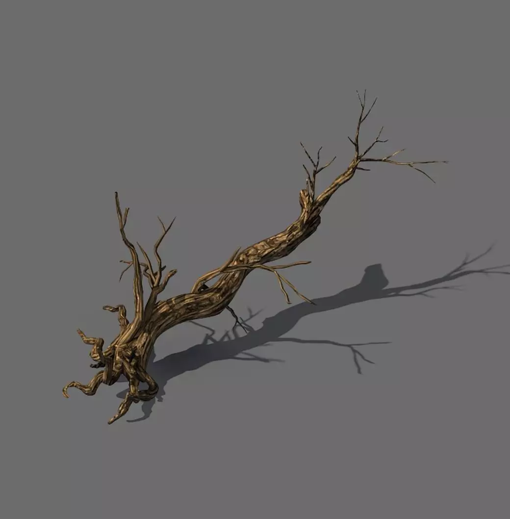 Explore the mountains - dead wood 06 3D model_0