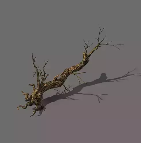 Explore the mountains - dead wood 06