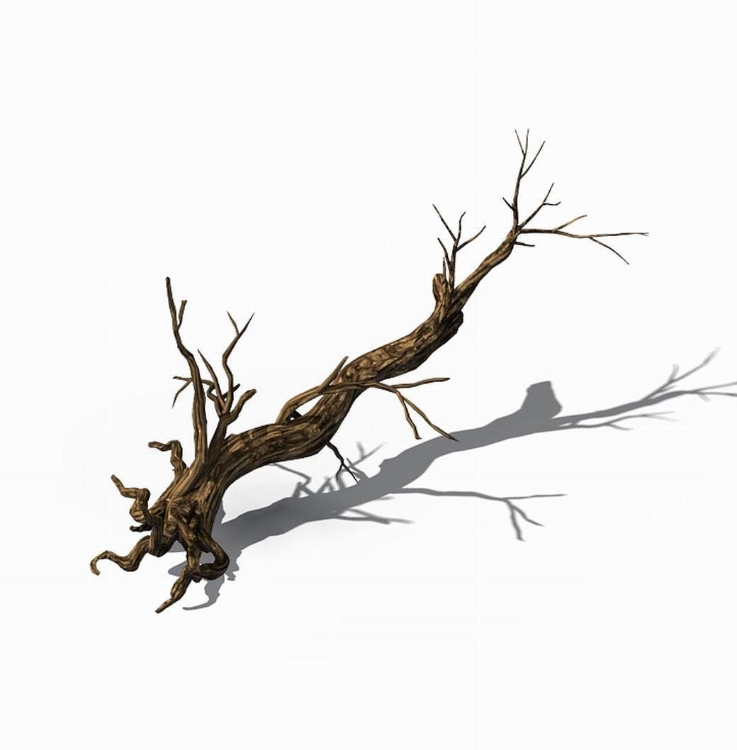 Explore the mountains - dead wood 06 3D model_1