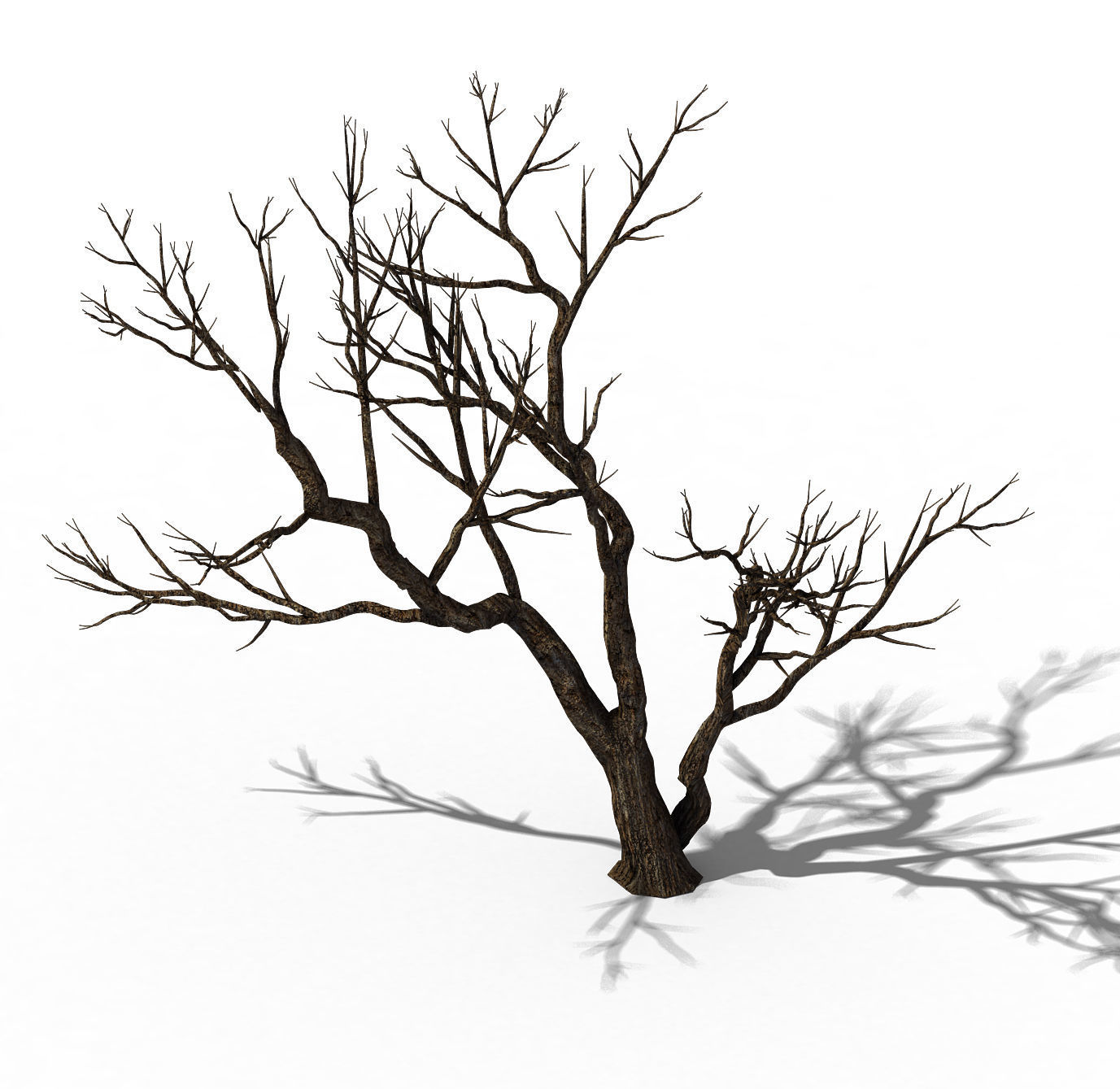 Explore the mountains - dead wood 07 3D model_1