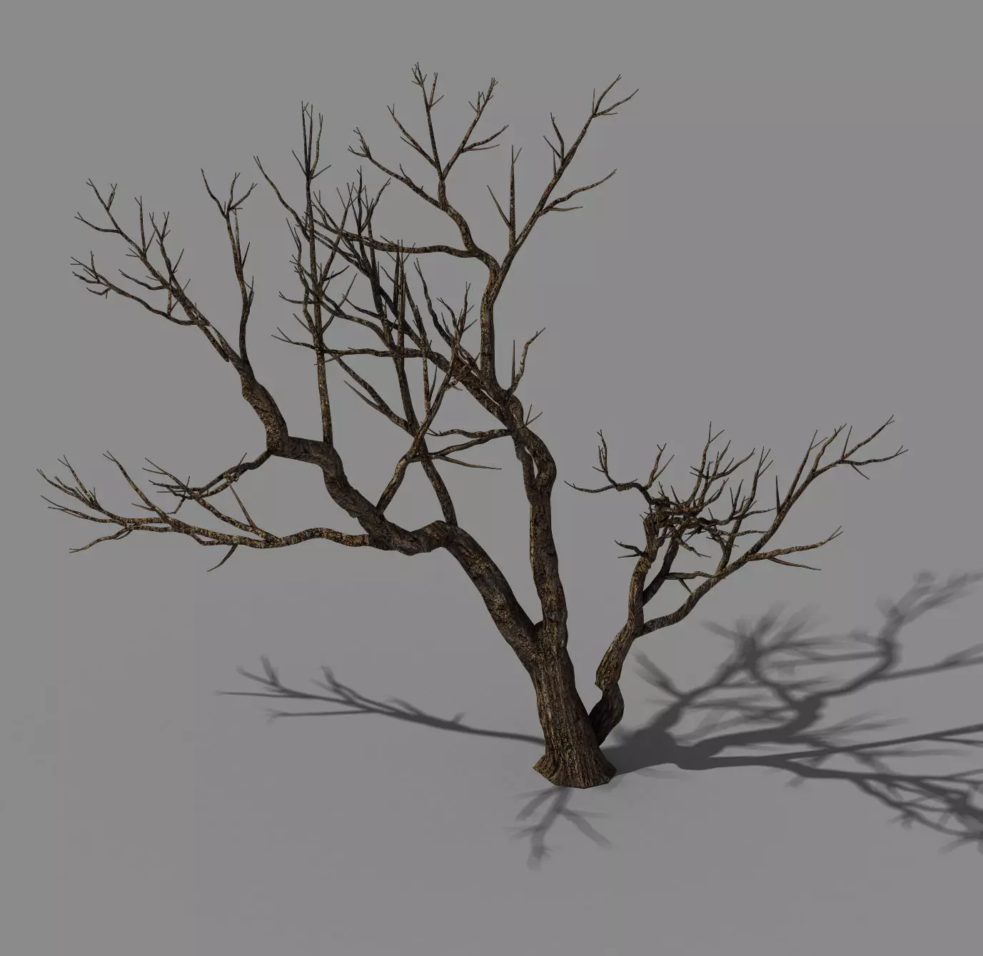 Explore the mountains - dead wood 07 3D model_0